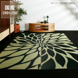 y11/1Iō5000~ȏw500~OFFN[|z O O J[ybgu_Av (190×250cm) (\H) CX^C (inSTYLE) T}[}bg T}[O ߓd ߓd΍ C