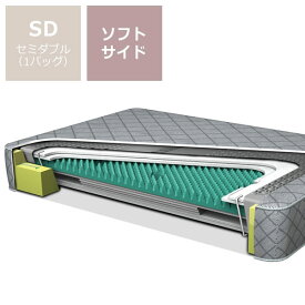 【5,000円OFFクーポン！6/11 9:59まで】ウォーターマットレスソフトサイド　SD（1バッグ）BT-SS ZEN ST【ウォーターワールド/WATER WORLD】※代引き不可 ドリームベッド dreambedウォーターベッド ウォーターベット 寝具