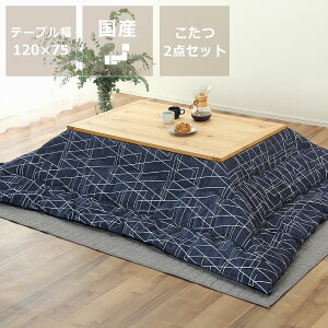 Zbg  zc Zbg ` |zc 2_Zbg 120cms  R^c x ؐ e[u zc ` 120 120cm  k d