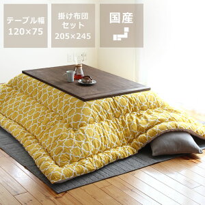 【5と0のつく日限定!最大5000円OFFクーポン配布中】家具調こたつ 長方形 120cm幅 木製(ミズナラ材)※代引き不可 ダイニング テーブル コタツ おしゃれ シンプル 国産 和モダン こたつテーブ