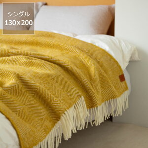 y50̂Iő5000~OFFN[|zzzKLIPPANiNbpjE[X[O[XAC@130×200cm X[Pbg  Mtg v[g 蕨 oYj Vzj j T