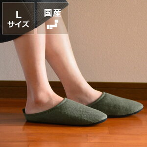 kontex(RebNX)Rbgl̃[V[Y@N NX}X NX}Xv[g G Mtg 蕨