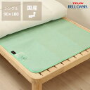 【お急ぎ便】センサー付き除湿マット 防ダニタイプシングルサイズ 90×180cmカビ対策 除湿シート 帝人 TEIJIN かび すのこ 布団 ナチュラル シングルベッド 湿気とり マットレス 湿気取りマット ふとん ベッドパッド シーツ