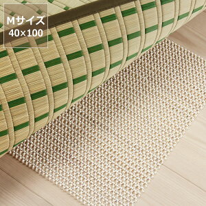 ~߃lbgihCESjMTCYi40×100cmjE㕥s NX}X NX}Xv[g ~ Mtg O }bg 䑐  Vv i` ]|