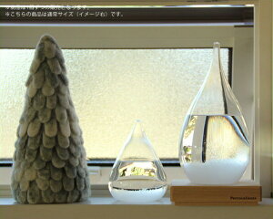 e|hbv 100percent Xg[OX Tempo DropyJGe@Perrocalientes  IuWF  k 蕨 VC\ j    ^ V\ Vv u