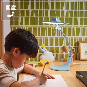 y11/1Iō5000~ȏw500~OFFN[|zlXȃV[ŎgpłRpNgOLEDfXNCgiX^hj X^fBR[i[ ׋ wK wKCg ׋Cg X^