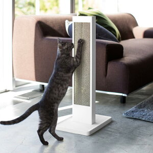 RƁi}ULWcMEj L̒܂ƂX^hL̒܂Ƃz_[P[X݂̂̏iłyamazaki R   ubN zCg Vv mg[ ybgpi ybg