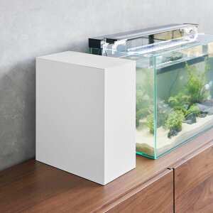 RƁi}ULWcMEj[{bNX toweri^[js NX}X NX}Xv[g [  [ bN Mы  I  t X`[ I