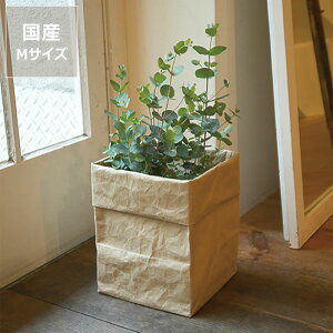 SIWAiVj{bNX@M NX}X NX}Xv[g a a iI { Y {Y 咼 jȂ q ϋv y Vv   v  ꕨ [  