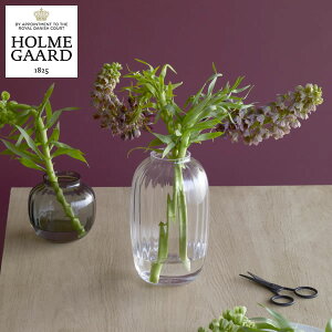 HOLMEGAARDizK[hjv@x[X@25.5cm@NA NX}X NX}Xv[g G Mtg 蕨