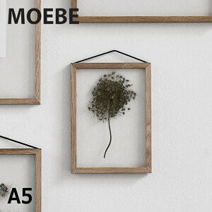 MOEBEi[xjt[A5TCY E㕥s z z FRAME |X^[ t[ A[gt[ A[gpl ʐ^ G |X^[t[ a5 AN tHgt[ Ǌ| C