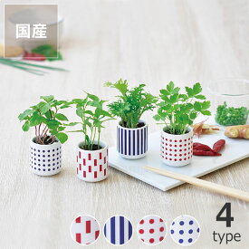 楽天市場 栽培セット 開花時期春 ガーデニング 農業 花 ガーデン Diy の通販