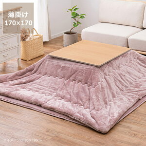 y50̂Iő5000~OFFN[|zzzzc |Pi 170cm×170cm 190cm×190cm s  |zc |zc |ӂƂ R^c \ g | ߓd GR 