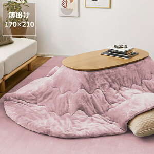 y11/1Iō5000~ȏw500~OFFN[|zzc |Pi 170cm×210cmuȉ~` 100cmvp s  |zc |zc |ӂƂ R^c \ g | ߓd 