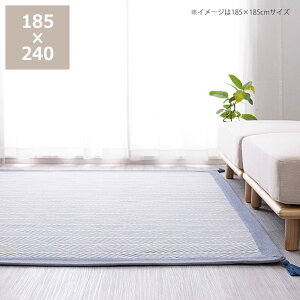 y50̂Iő5000~OFFN[|zzz􉽊wfUC̃ChȃO185×240cms O}bg{fBOO ~ J[ybg O~ rO Q q