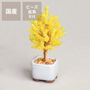MIYUKI(~L)lWbeBONSAILbg nhChLbgE㕥s { Lbg |Lbg l 킢  S ߂ ȒP r[YI[ig ~j~ r[