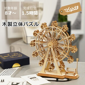 ł@3DEbhpY@ϗԁ@E㕥s ؐpY ̃pY 3D Lbg DIY@ؐߋ  m mߋ ]g l qǂ CeA  v[