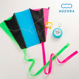 AOZORA（あおぞら）ポケットカイト 父の日 父の日ギフト pocketkite コンパクト ポケットサイズ 折りたたみ 携帯 骨なし 凧あげ 凧上げ たこ タコ ケース付き レジャー アウトドア 公園 ピクニック キャンプ 外遊び スポーツトイ お正月 子ども 大人 キッズ おもち