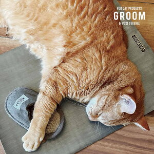 GROOMiO[jA~Ђxbh NX}X NX}Xv[g Lxbh ΍ MǑ΍ ⊴ A~ y ؐ AJVA  L ˂ lR ybgpi 