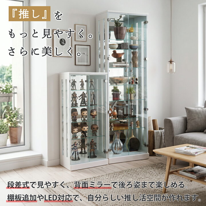楽天市場】☆先着10名15％OFFクーポン対象品[7/5限定] コレクション 