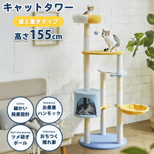 Lbg^[ L^[ u^Cv 155cm@RpNg@[@Ap[g@}V nC^Cv@ȃXy[X ܂Ƃ|[  L Lbg B ̎q@j̎q 