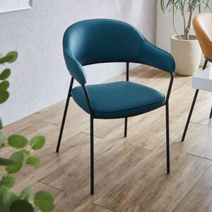 10%OFFN[|Ώ _CjO `FA  ֎q 2rZbg ʍ 43cm `FA[ u[ CG[ v ubN r X`[ Sn wt n PU It y