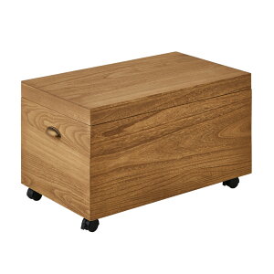yˁz TChe[uƂĂg  Y LX^[t [P[X 40cm 70cm s40cm Еt[ TChe[u  [ s40 ˃P[X {bNX BOX N[[bg 