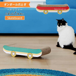 [26]撅1015OFFN[| L@܂Ƃ@_{[@CeA@@XP{[@o[Vu@2ʁ@yz@Vg@O[@bh@v[g@qL