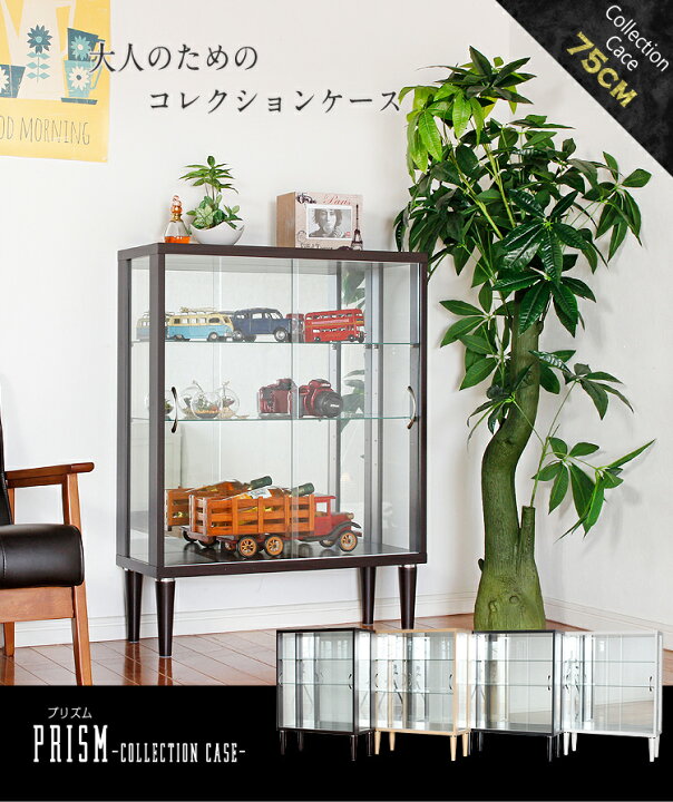 楽天市場】☆全品10%OFFクーポン[4/10限定] コレクションケース 