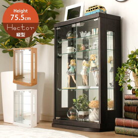 コレクションケース　幅50cm　縦75.5cm　ヘクトール　卓上コレクションボード　【送料無料】　コレクションボード　机上　卓上　ケース　フィギュアケース　ガラスケース　15KG　軽量　什器　イベント　即売会　ガラ