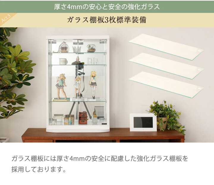 楽天市場】コレクションケース 幅50cm 縦75.5cm ヘクトール 卓上 