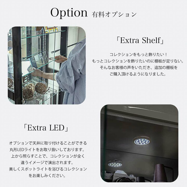 楽天市場】☆[4/1限定]全品11％OFFクーポン配布 コレションケース 完成 