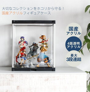 ANP[X ANA x[VbN^Cv RNVP[X yz AN  y y tBMA ˂ǂ ˂Ղ tBO} figma XP[ XP[tBMA Y {