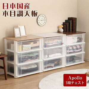 At^[Z[Ώەi [P[X vX`bN o 3i vX`bN`FXg [{bNX LX^[t {iؖڒV A| y3i^Cvzi 55cm s40cm y Y 
