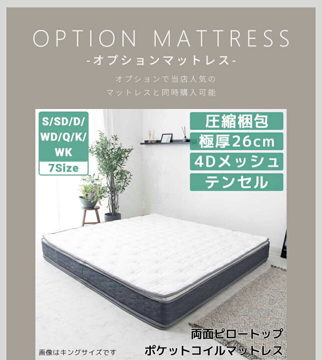 楽天市場】▽先着1名25％OFFクーポン[1h限定!7/4 20:00〜23:59][割引品 