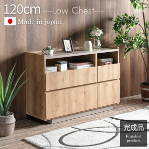 [i]+X5%OFFN[|zz `FXg rO`FXg 120 i { oCJ[  ؖڒ O[W k ؍ i` _ o 119cm I[v[ I fB