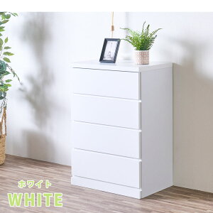 [25]撅20l15OFFN[| `FXg \y \y 60 4i LX^[t N[[bg`FXg s40cm  { i Y m\y  o ړ Vv i