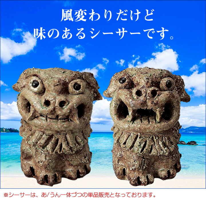 楽天市場 期間中ポイント5倍 信楽焼 玄関 置物 シーサー 単品販売 送料無料 魔除け 魔よけ 厄除け 正面向き 沖縄 琉球 縁起物 開運 焼き物 陶器 信楽 Shigaraki 開店祝い ギフト プレゼント お祝い 開店祝い お店 商売 繁盛 かぐわん 楽天市場 期間中ポイント5倍 信楽焼 玄関 置物 シーサー 単品販売 送料無料 魔除け 魔よけ 厄除け 正面向き 沖縄 琉球 縁起物 開運 焼き物 陶器 信楽 Shigaraki 開店祝い ギフト プレゼント お祝い 開店祝い お店 商売 繁盛 かぐわん