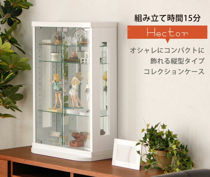 楽天市場】コレクションケース 幅50cm 縦75.5cm ヘクトール 卓上 