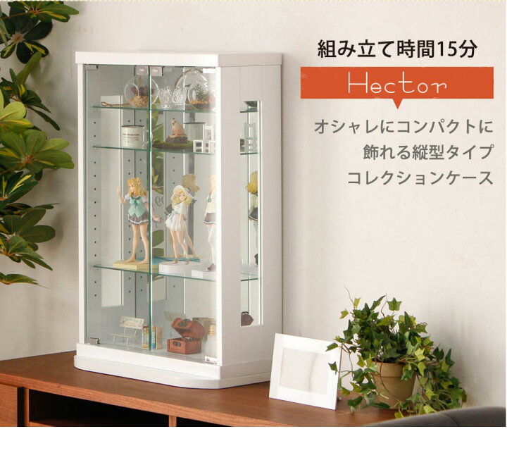 楽天市場】コレクションケース 幅50cm 縦75.5cm ヘクトール 卓上 