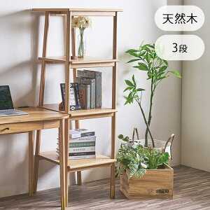 VFt ؐ  k [ 3i 55cm VR Pi o[Ebh [t VR؃VFt 3iVFt i` [I bN 3i[