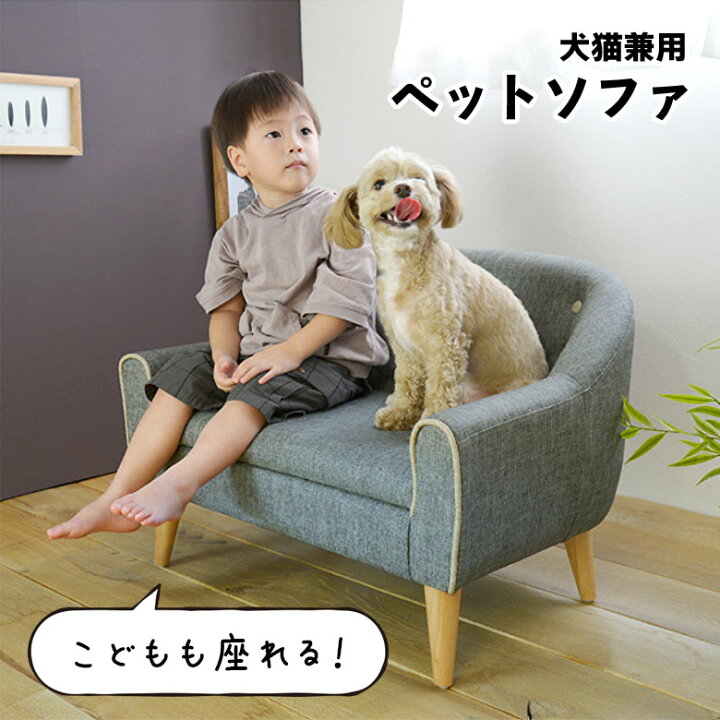 楽天市場】ミニソファ ペット用ソファー かわいい おしゃれ 北欧 
