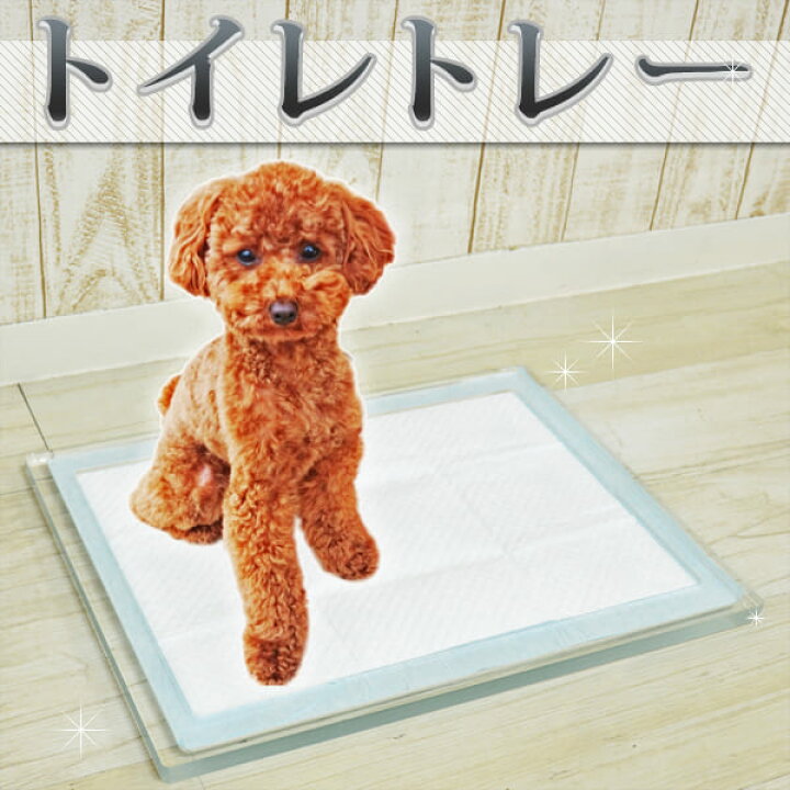 楽天市場】Kuai ペットトイレ トレー 犬 アクリル Sサイズ 犬用トイレ 