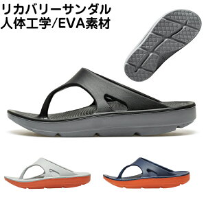 T_ EVAT_ EVA f Ȃ T_ Y fB[X NbV  Sn ₷ y X|[c   s uh r[`T_ ؂ 