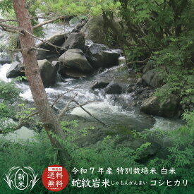 【新米・令和7年産】【送料無料】【白米】兵庫県たじま養父産 蛇紋岩米（じゃもんがんまい）【5kg／10kg】【特別栽培米】兵庫県産コシヒカリ