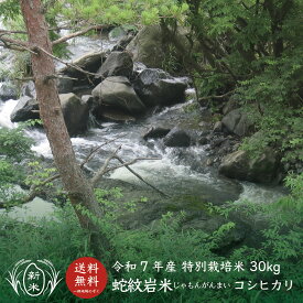【新米】【令和7年産】【送料無料】兵庫県たじま養父産 蛇紋岩米（じゃもんがんまい）【30kg】【特別栽培米】【コシヒカリ】【こしひかり】【玄米】 【白米】 【兵庫県産お米】