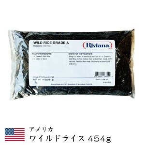�A�����J�Y���C���h���C�X454g