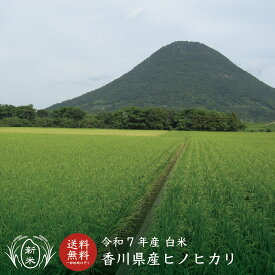 【新米】【令和7年産】【送料無料※一部地域除く】白米5kg／10kg(5kg×2本) ひのひかり 10kg 香川 米 香川県産 お米 香川県 ヒノヒカリ 【ひのひかり】 【あす楽】