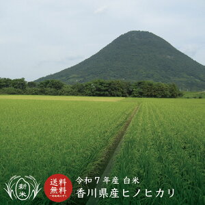 yVāzyߘa7NYzyꕔn揜z5kg^10kg(5kg×2{) Ђ̂Ђ 10kg   쌧Y  쌧 qmqJ yЂ̂Ђz yyz