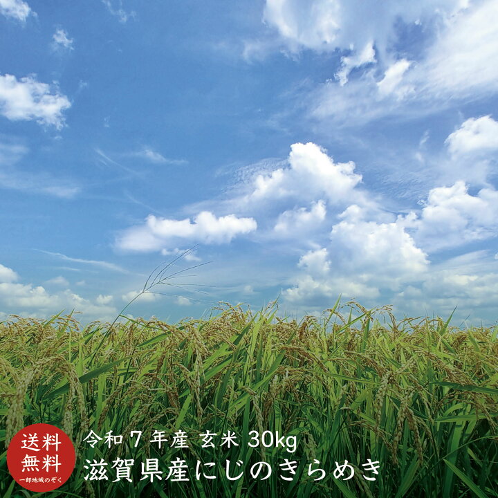 楽天市場】【令和7年産】【送料無料】滋賀県産にじのきらめき玄米30kg 